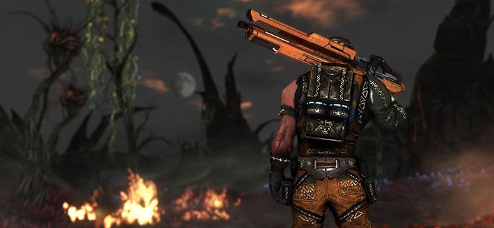 duskfire-header